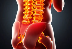 Befreie deinen Rücken: effektive Strategien bei bandscheibenvorfall lws