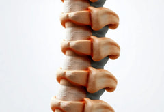 Wirbelversteifung verstehen: Von der Operation zur Genesung
