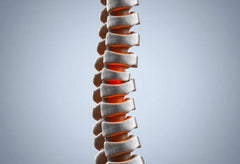 Wirbelsäule stabilisieren für ein schmerzfreies Leben