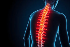 Leben ohne Schmerzen: Tipps bei arthrose lendenwirbelsäule