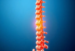 Unsere wirbelsäule verstehen: der schlüssel zu gesundheit und beweglichkeit