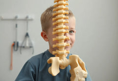 Entdecke die besten Wege zur Skoliose Behandlung